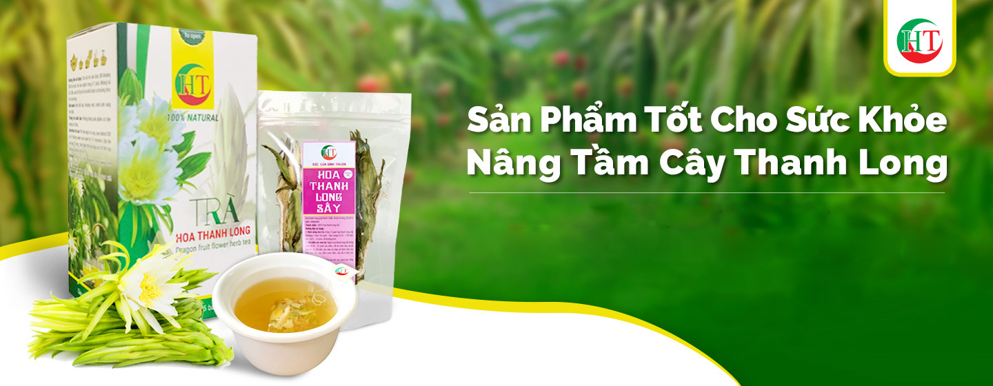 auvietbannermiddleleft