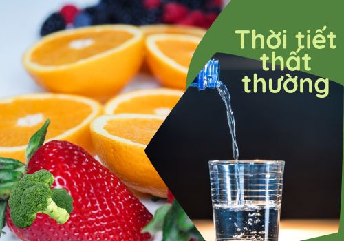 Dinh dưỡng phù hợp giúp bảo vệ sức khỏe những ngày thời tiết thất thường