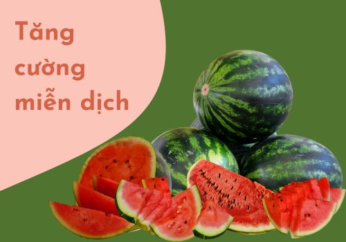 Dưa hấu tăng cường khả năng miễn dịch cho cơ thể