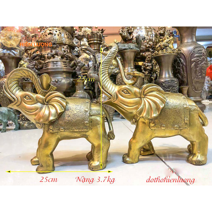  Đôi Tượng Voi Phong Thủy Cỡ Nhỡ 