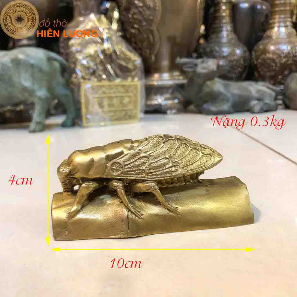 Kim Thiền (Ve Sầu Bằng Đồng)