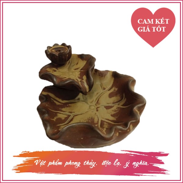 TK- Sen mini nâu đất