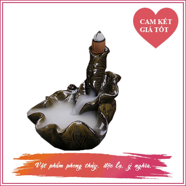 TK- Lá sen rêu cuộn tròn