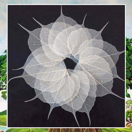 Lá Bồ Đề Trắng 10cm