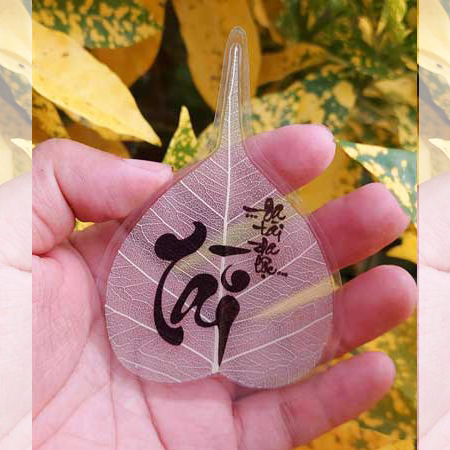 Lá Bồ Đề Trắng Ốp ĐT - Tài