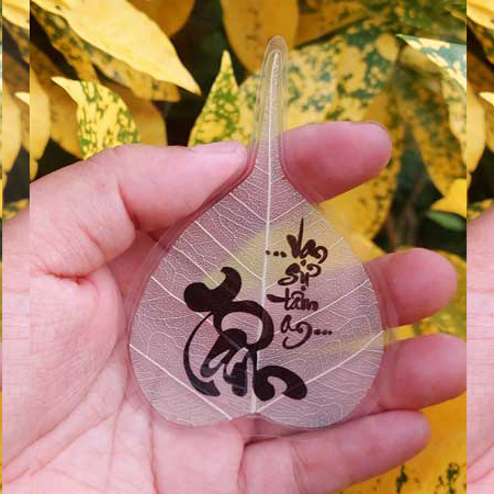 Lá Bồ Đề Trắng Ốp ĐT - Tâm
