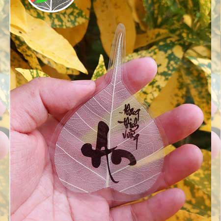 Lá Bồ Đề Trắng Ốp ĐT - An