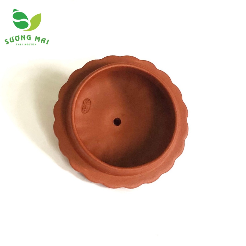 Ấm tử sa Phỏng Cổ Cúc Lôi-SP013105