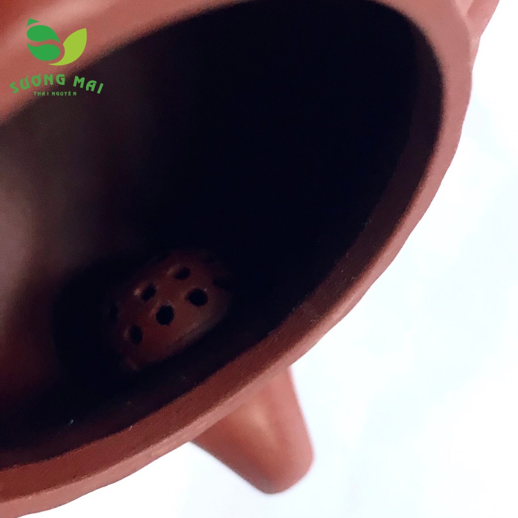 Ấm tử sa Tiếu Anh Cúc Lôi-SP013104