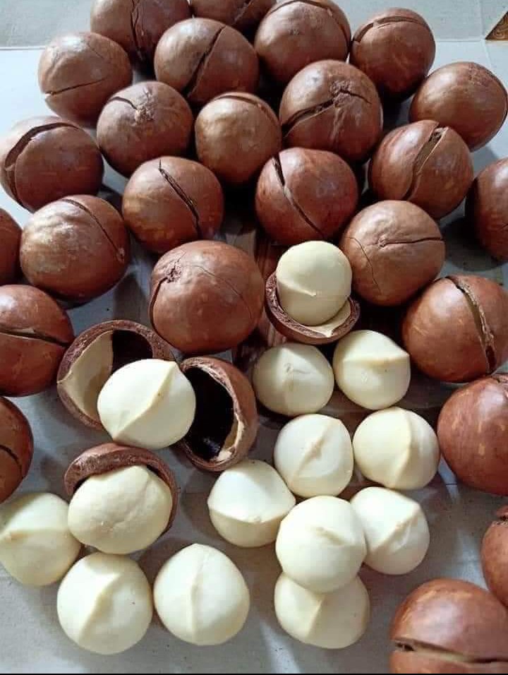 Macca rang mộc túi 1kg