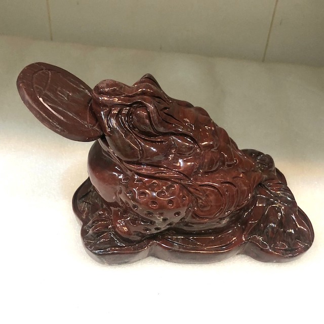 Thiềm thừ đá đỏ tự nhiên, cóc đá đỏ của Việt Nam 