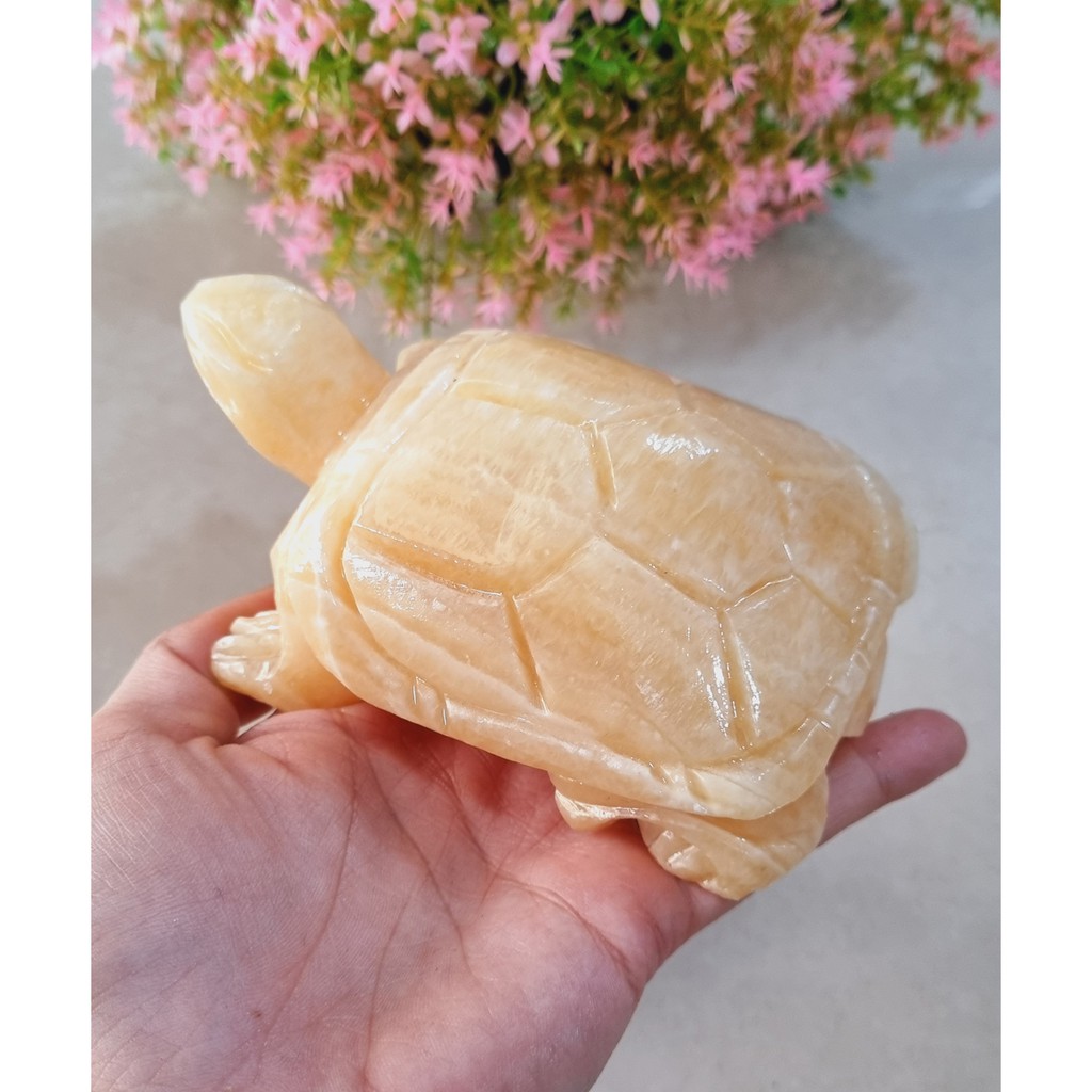 (Chọn màu) Cụ Rùa đá size 12cm