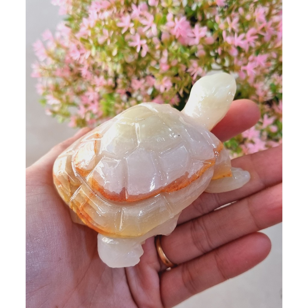 Cụ Rùa ngọc Pakistan bằng đá tự nhiên