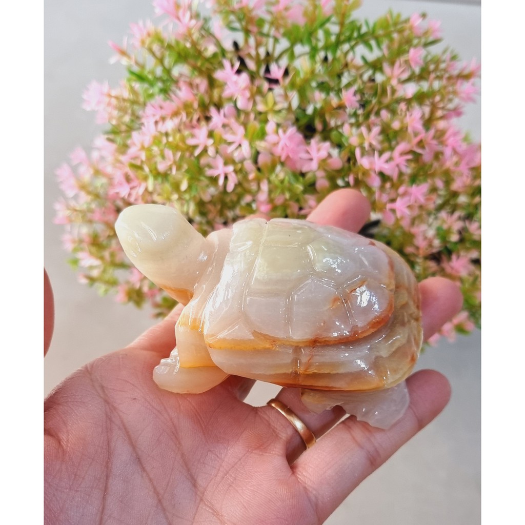 Cụ Rùa ngọc Pakistan bằng đá tự nhiên