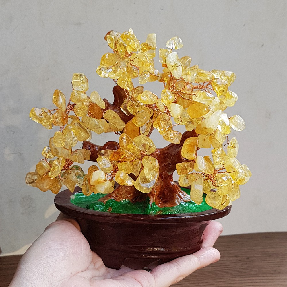 (Chọn màu) Cây Tài Lộc ngũ sắc size 16cm