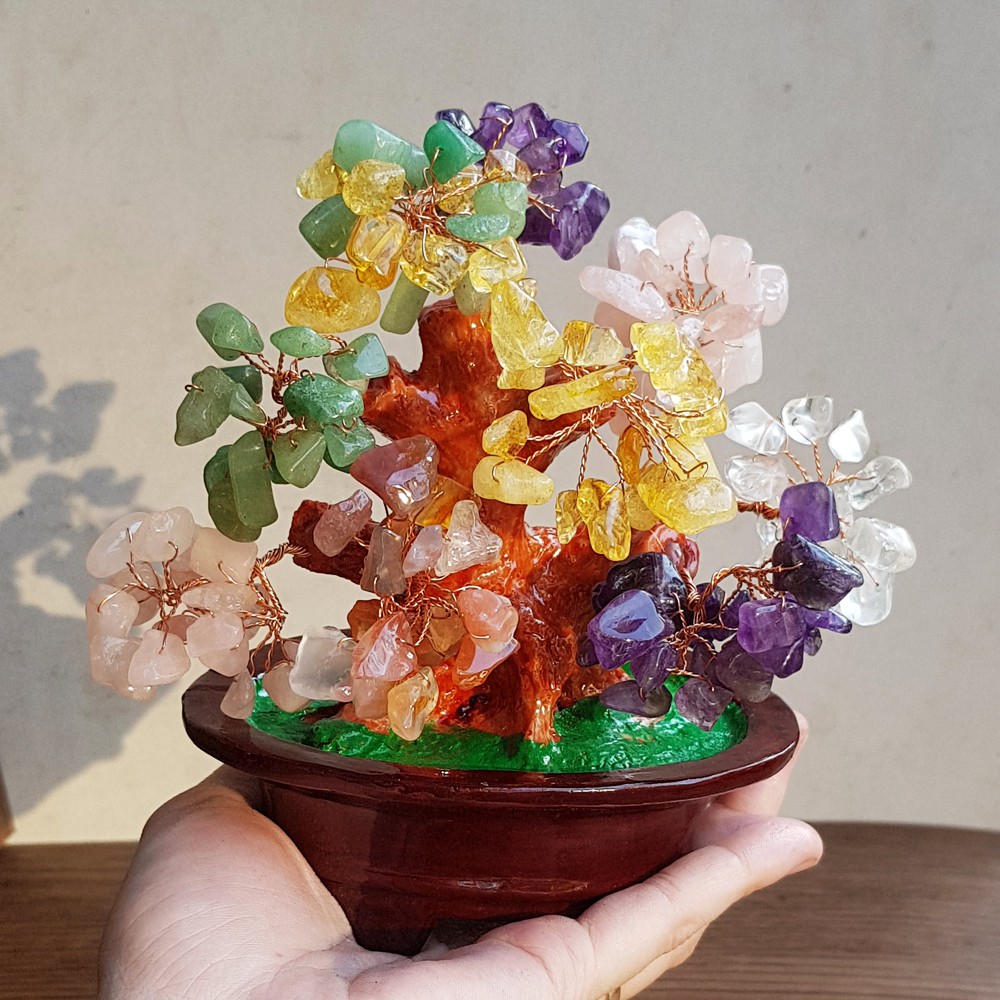 (Chọn màu) Cây Tài Lộc ngũ sắc size 16cm