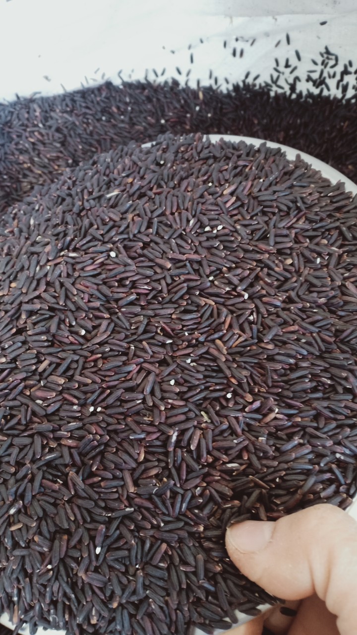 Gạo lứt đen Điện Biên