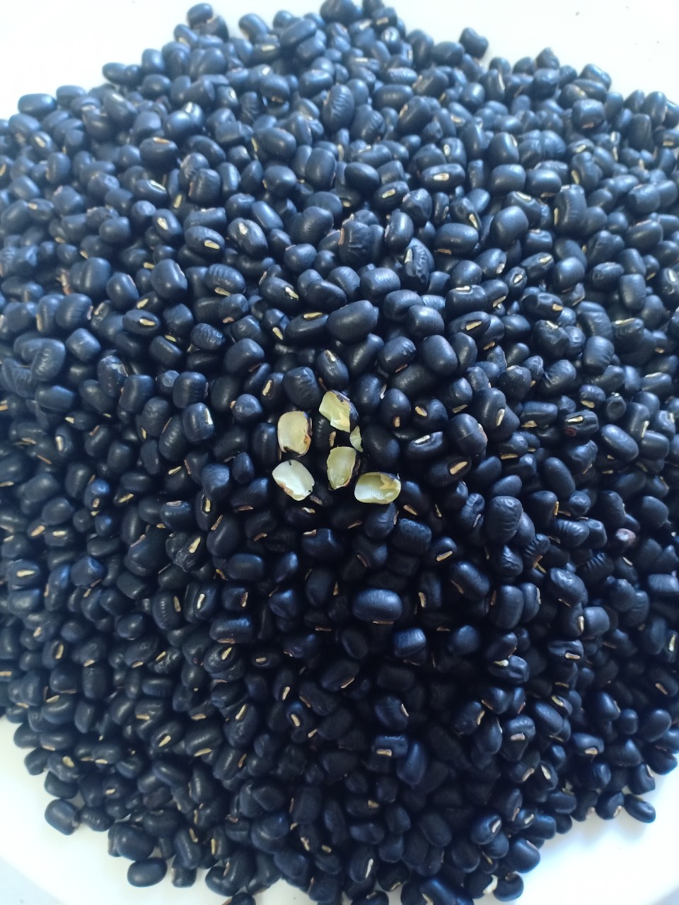 Trà gạo lứt đỗ đen