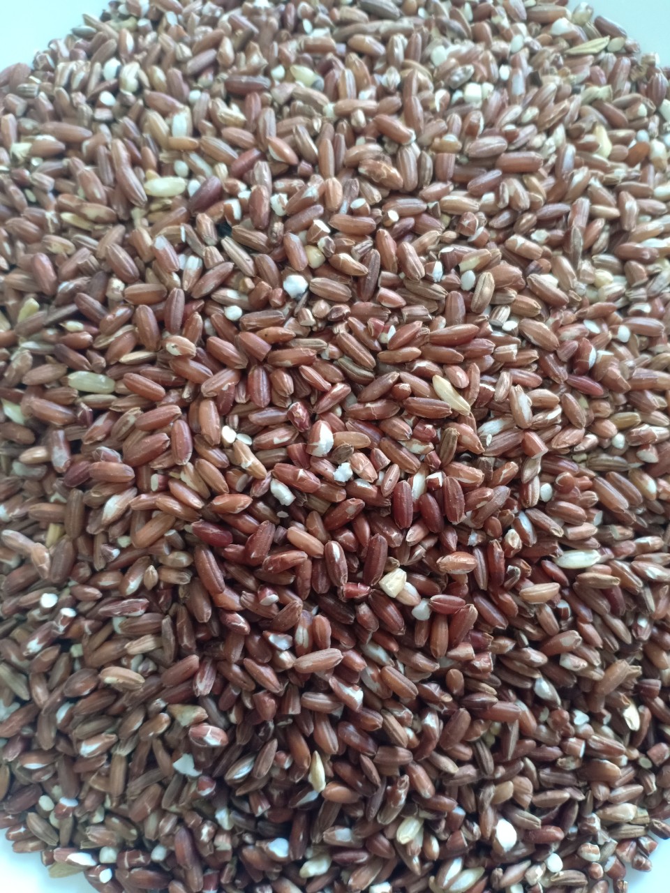 Trà gạo lứt đỗ đen