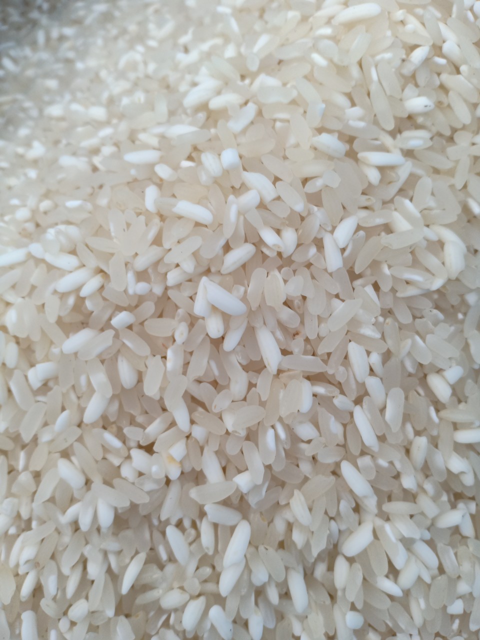 Gạo Nếp Nương Điện Biên