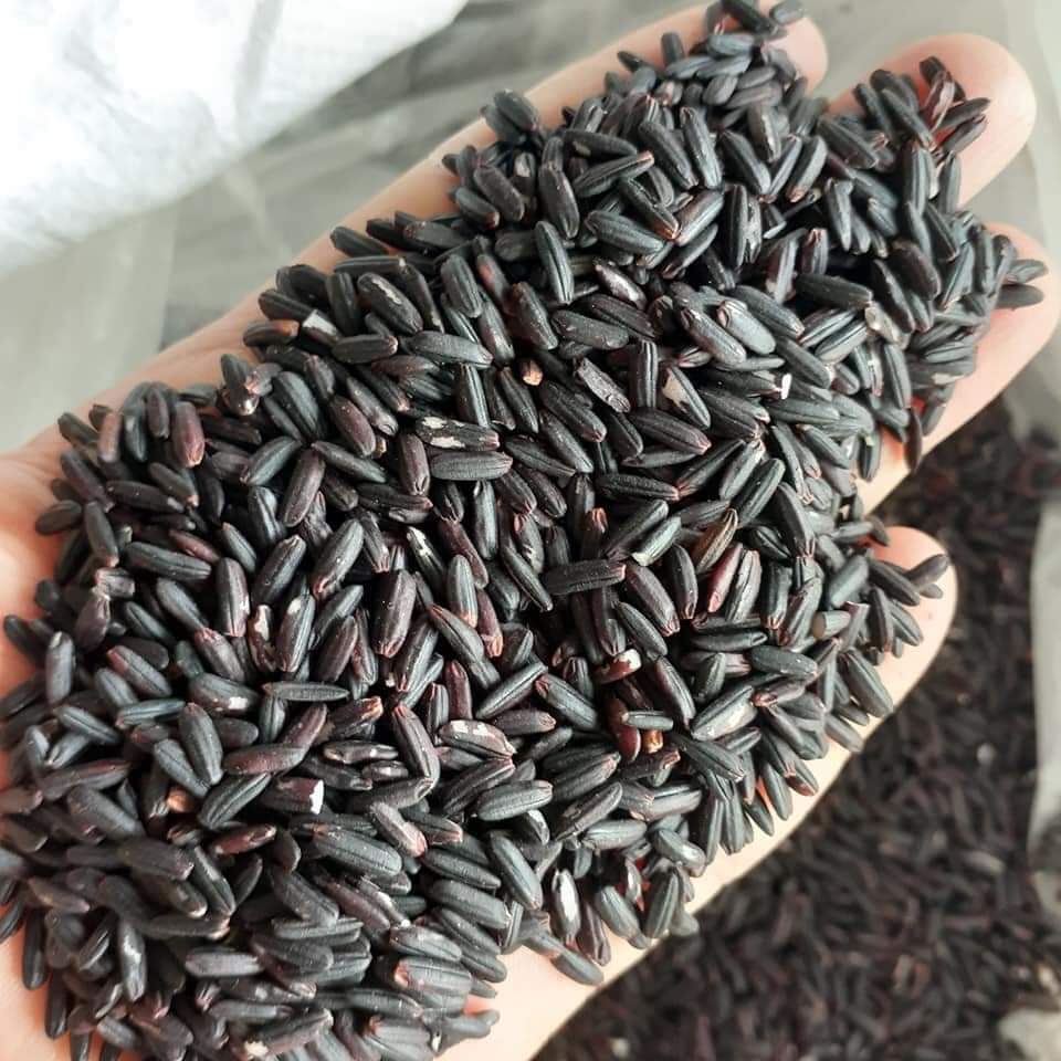 Gạo lứt đen Điện Biên