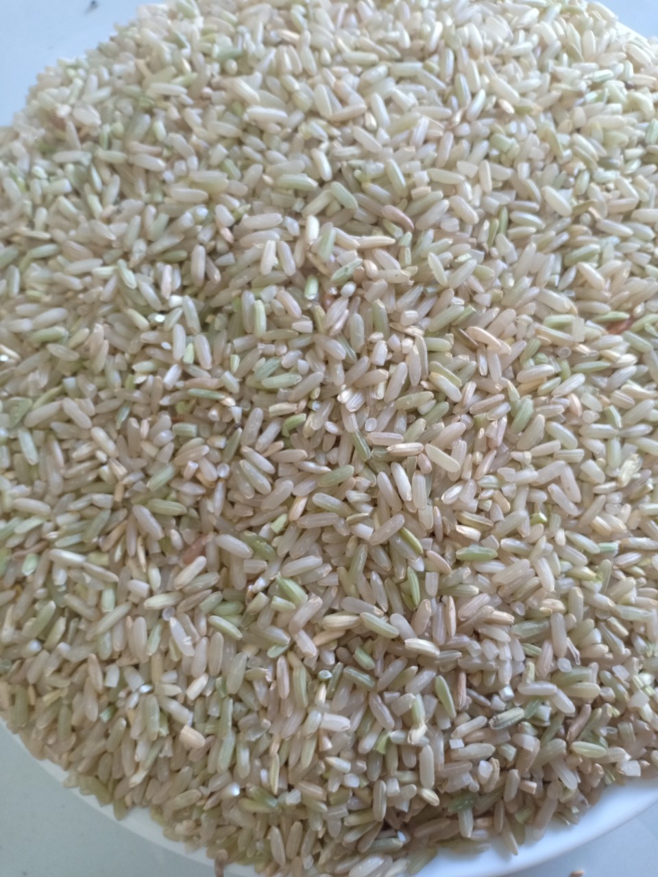 Gạo lứt séng cù Điện Biên