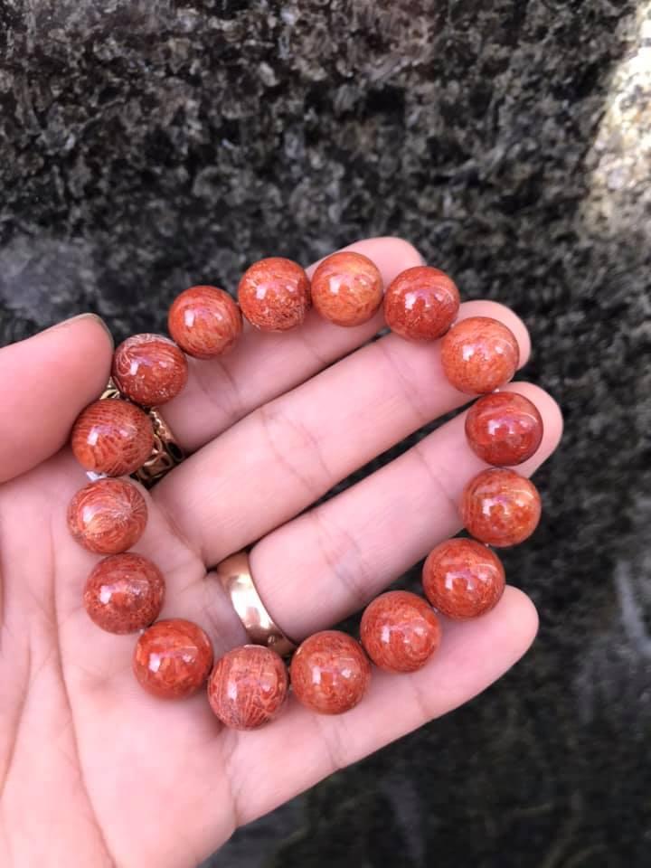 Vòng tay san hô đỏ VIP - size S
