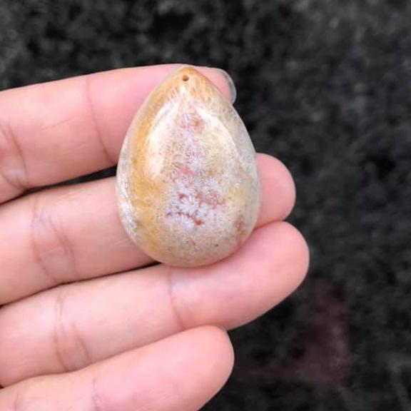 Mặt dây chuyền giọt nước san hô