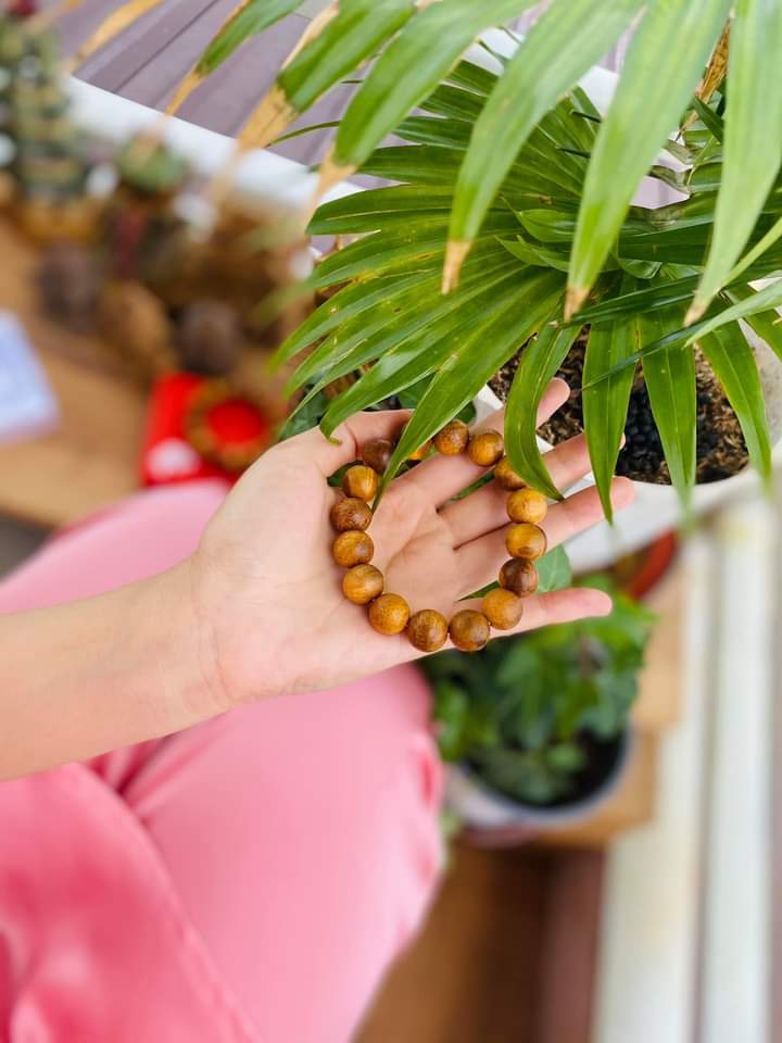 DT vòng tay ghỗ dâu tằm size 8LI (10 năm tuổi)