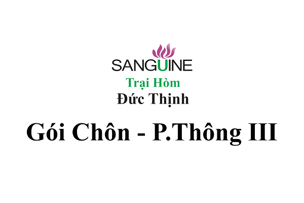 Gói chôn cất phổ thông III
