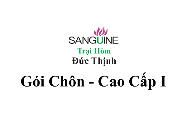 Gói chôn cất cao cấp I