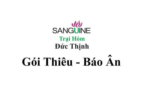 Gói hoả táng trọn gói báo ân