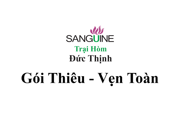 Gói hoả táng trọn gói vẹn toàn