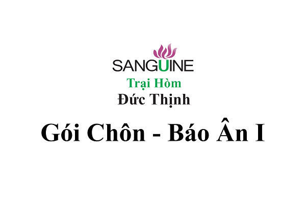 Gói chôn cất báo ân I