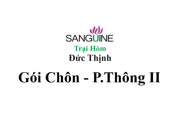 Gói chôn cất phổ thông II