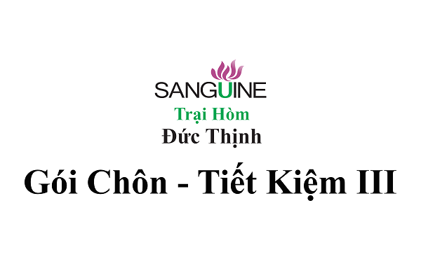 Gói địa táng tiết kiệm III