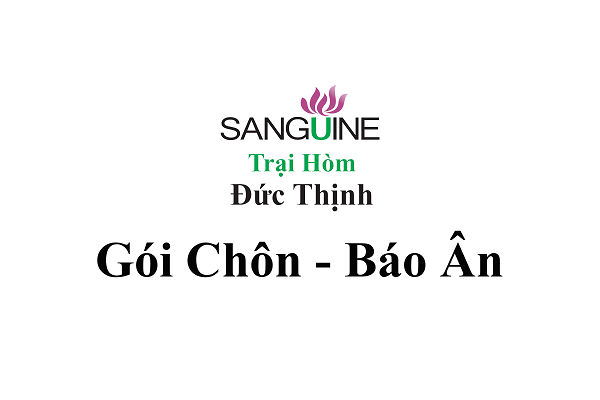 Gói chôn cất báo ân