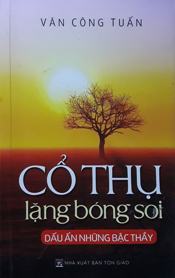 Cổ thụ lặng bóng soi