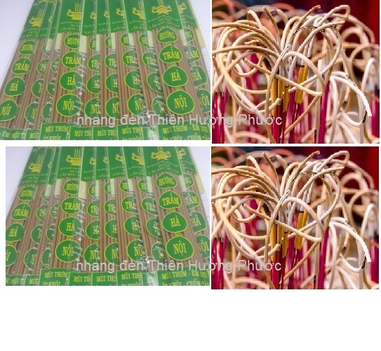 Nhang cuốn tàn bắc nhãn xanh