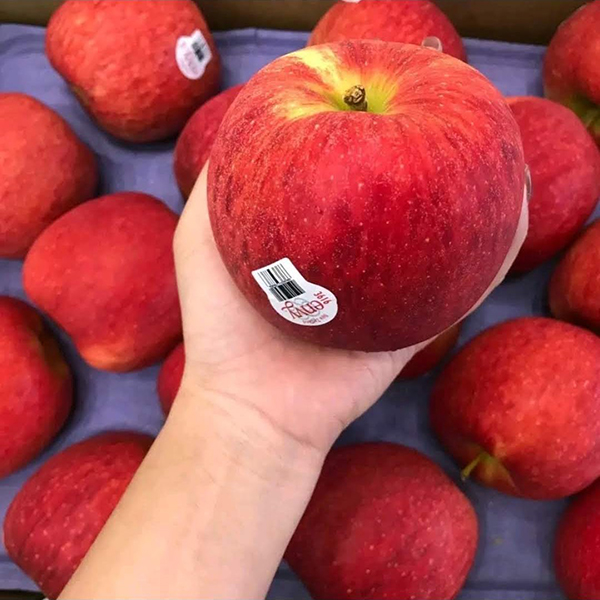 Táo Envy size lớn