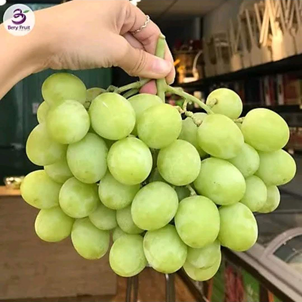 Nho xanh Mỹ không hạt