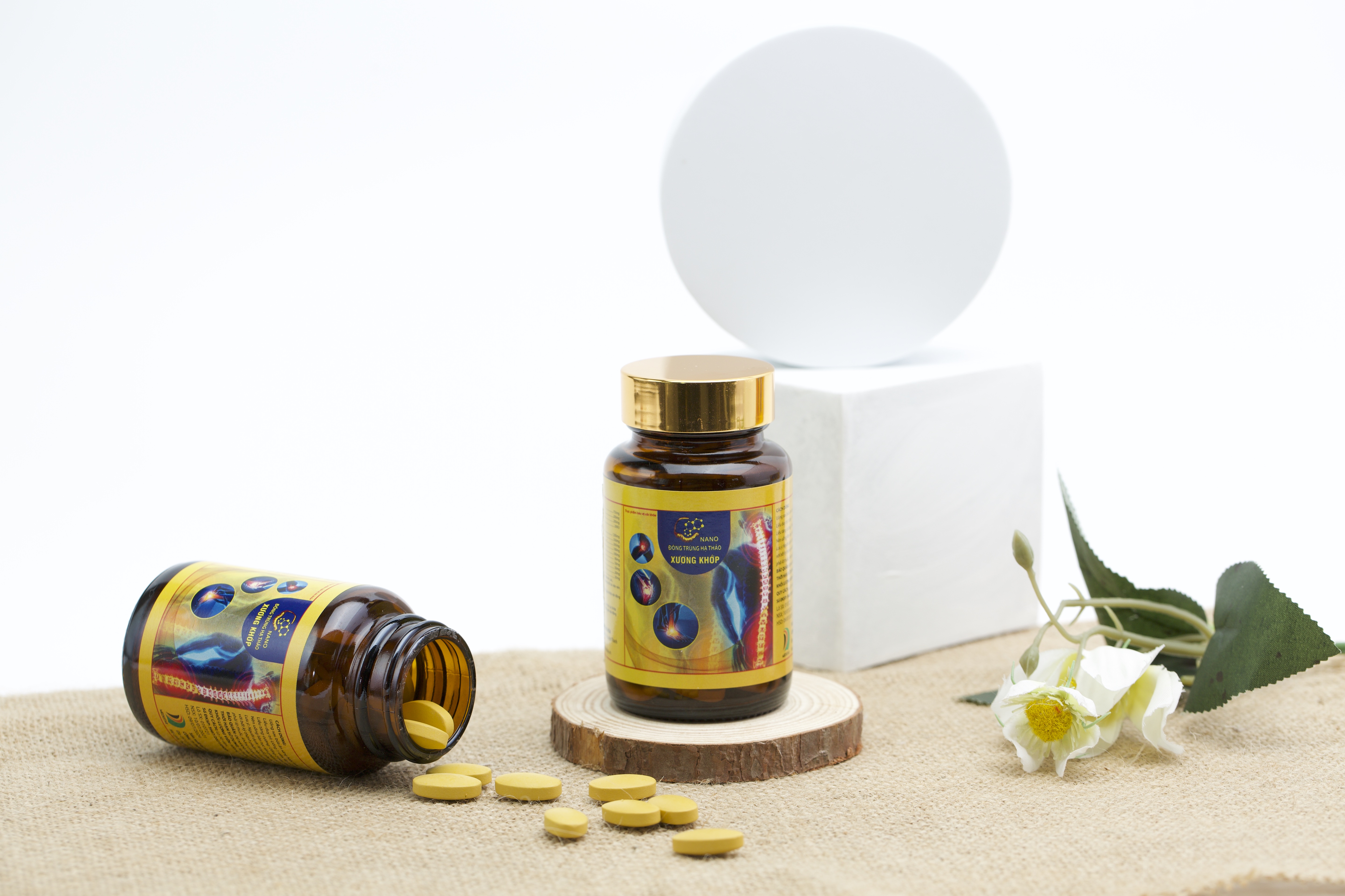 Nano Đông trùng hạ thảo Xương khớp Hộp 60v