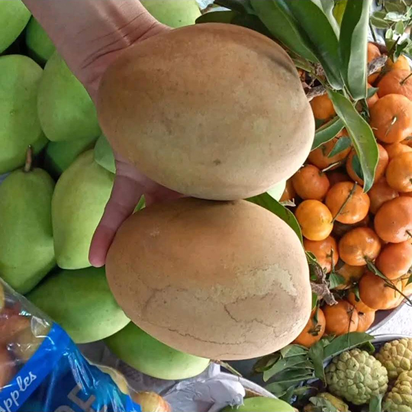 Lòng mức (Meheco)