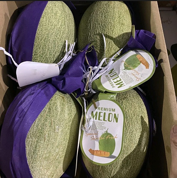 Dưa lưới Đài Loan