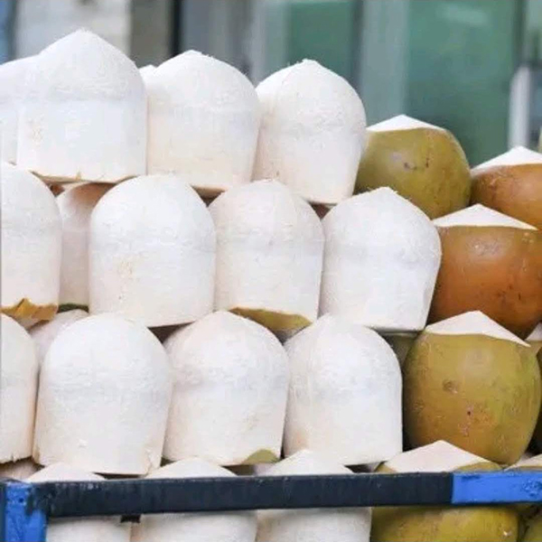 Dừa xiêm gọt vỏ trưng cúng