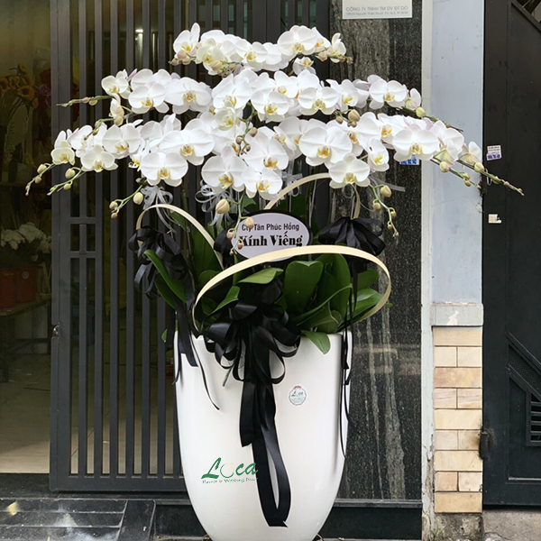 Chậu lan chia buồn mẫu 19