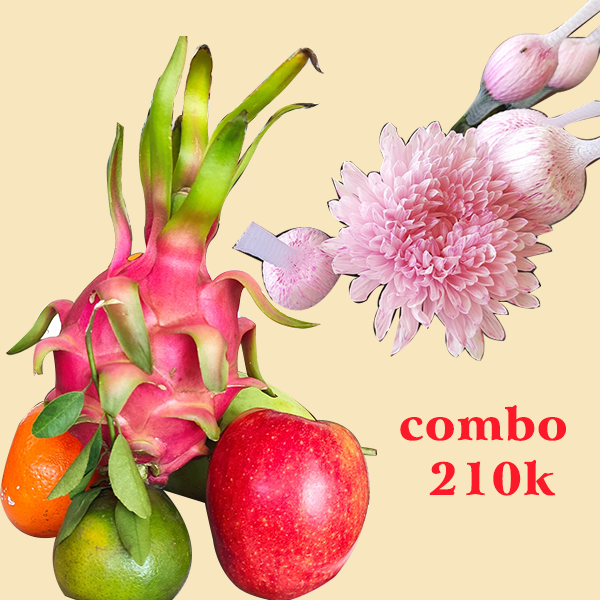 Combo trái cây và hoa cúc lưới hồng