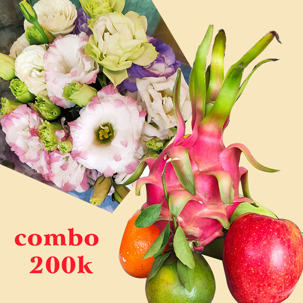 Combo trái cây và hoa cát tường