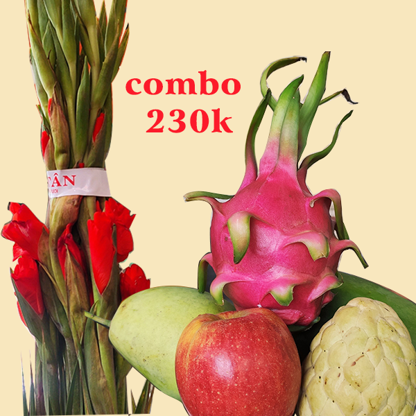 Combo trái cây và hoa lay ơn đỏ