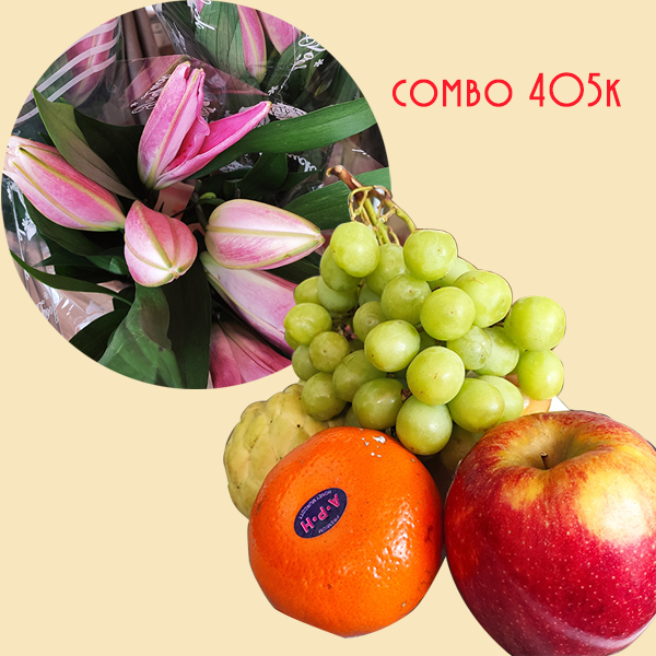 Combo trái cây và hoa ly hồng